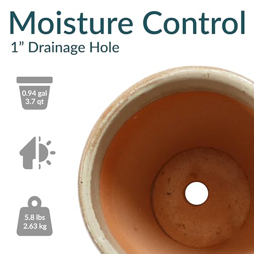 Sunnydaze Round Ceramic Planter - Set of 2 Indoor or Outdoor Plant Pots with Drainage Hole - 8