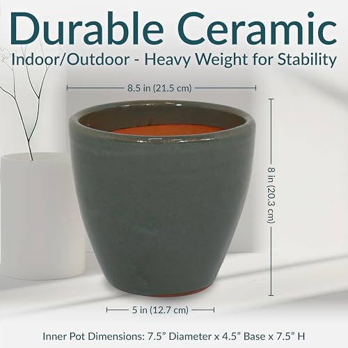 Sunnydaze Round Ceramic Planter - Set of 2 Indoor or Outdoor Plant Pots with Drainage Hole - 8