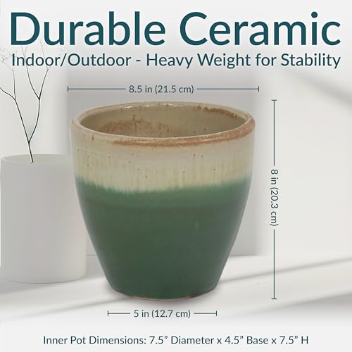 Sunnydaze Round Ceramic Planter - Set of 2 Indoor or Outdoor Plant Pots with Drainage Hole - 8