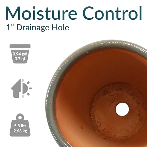 Sunnydaze Round Ceramic Planter - Set of 2 Indoor or Outdoor Plant Pots with Drainage Hole - 8