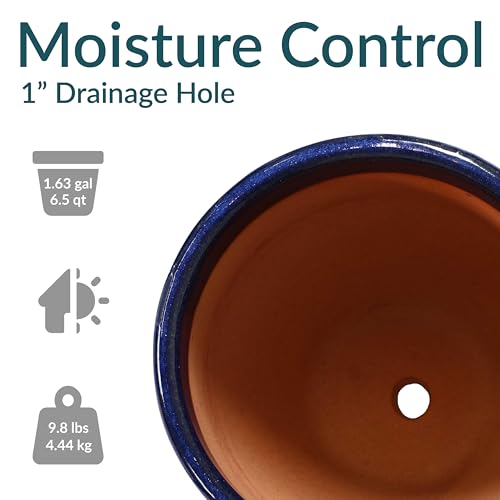 Sunnydaze Round Ceramic Planter - Set of 2 Indoor or Outdoor Plant Pots with Drainage Hole - 10