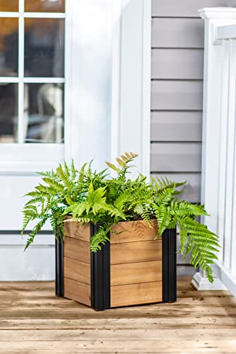 Vita Mezza 12 inch x 12 inch x 12 inch Cedar Cube Planter with Black Aluminum Posts, FSC, Golden Brown, Woodgrain, Pre-Stained, VT17727