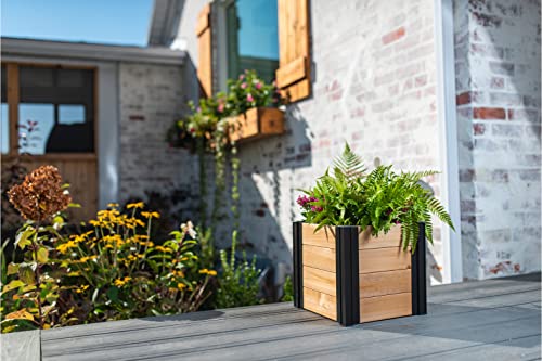 Vita Mezza 12 inch x 12 inch x 12 inch Cedar Cube Planter with Black Aluminum Posts, FSC, Golden Brown, Woodgrain, Pre-Stained, VT17727