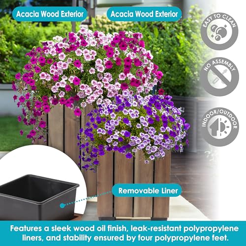 Sunnydaze Indoor/Outdoor Wooden Planter Boxes - 2 Acacia Wood Square Plant Pots with Plastic Liners - Anthracite Stain