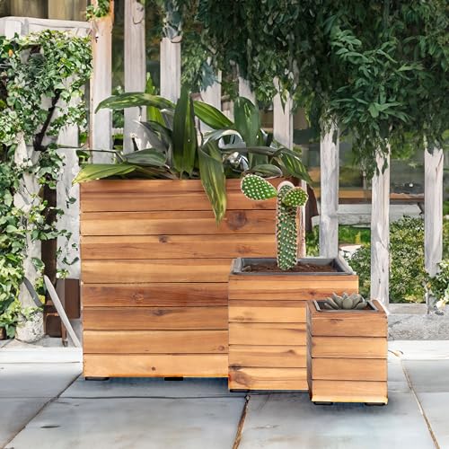 Sunnydaze Indoor/Outdoor Wooden Planter Boxes - 3 Acacia Wood Square Plant Pots with Removable Plastic Liners - Light Brown Stain