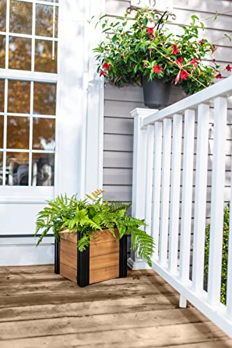 Vita Mezza 12 inch x 12 inch x 12 inch Cedar Cube Planter with Black Aluminum Posts, FSC, Golden Brown, Woodgrain, Pre-Stained, VT17727