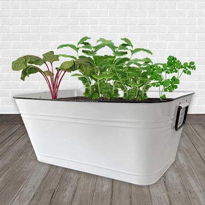 Panacea Planter Review: Game-Changing Décor for Gardeners