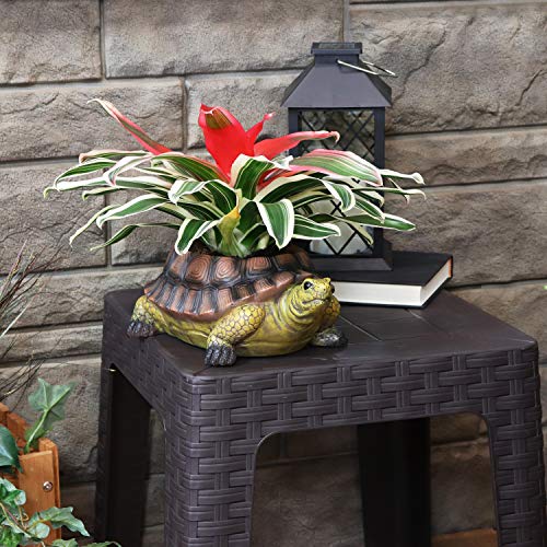 Sunnydaze Teddy Turtle Planter Review: Adorable Decor!