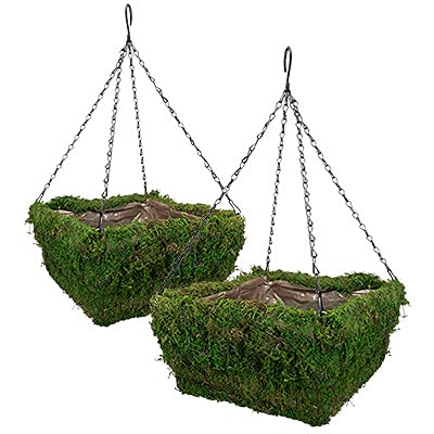 Panacea Baskets Review: Game-Changing Hanging Planters!