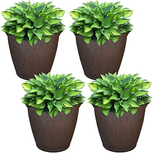 Sunnydaze Anjelica Planter Review: Worth It After 6 Months?