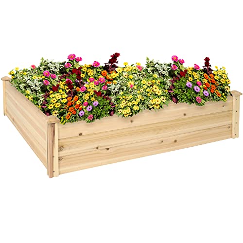 Sunnydaze Raised Garden Bed Review: Game-Changer for Veggies!