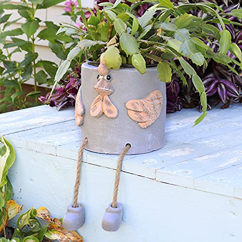 Sunnydaze Tate Turkey Planter Review: Worth it? After Testing