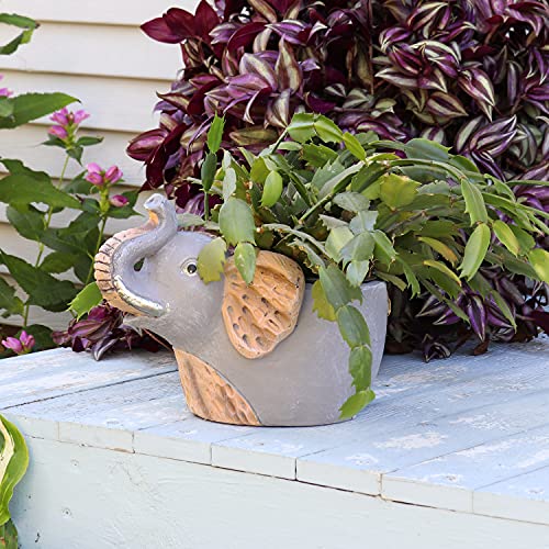 Sunnydaze Elsie Elephant Planter Review: Worth It? (Yes!)