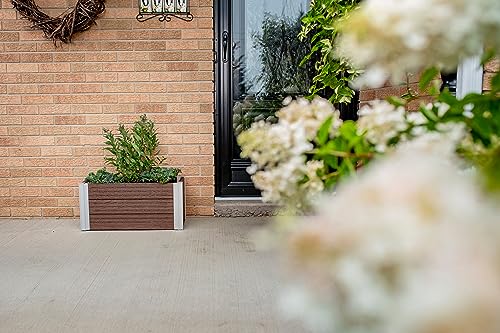 Vita Urbana Planter Review: Worth It After 6 Months?