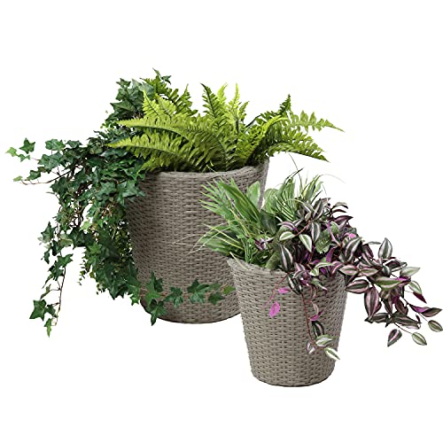 Sunnydaze Planter Review: Stylish Pots Worth the Money?