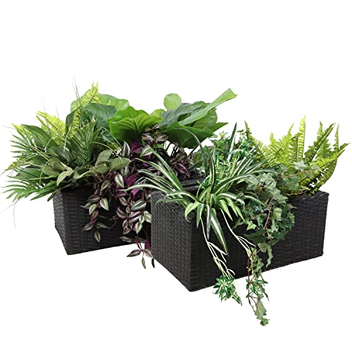 Sunnydaze Planters Review: Stylish Indoor Gardening in 2024