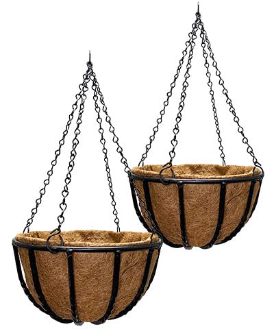 Gardman Baskets Review: Worth It After 6 Months?