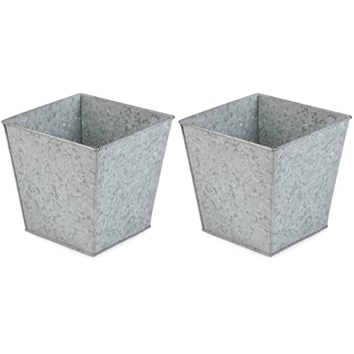 BIRDROCK HOME Planter Review: Stylish Pots After a Season