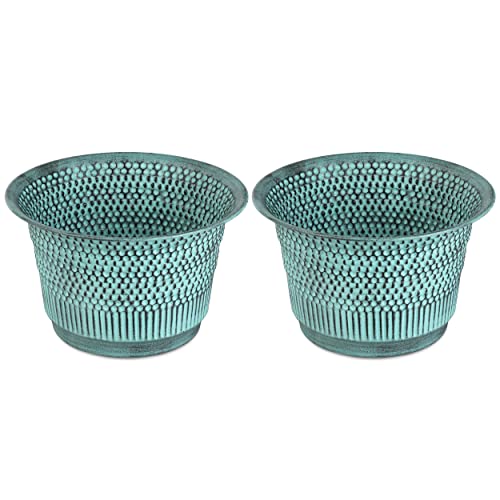 BIRDROCK HOME Planter Review: Stylish Garden Pots!