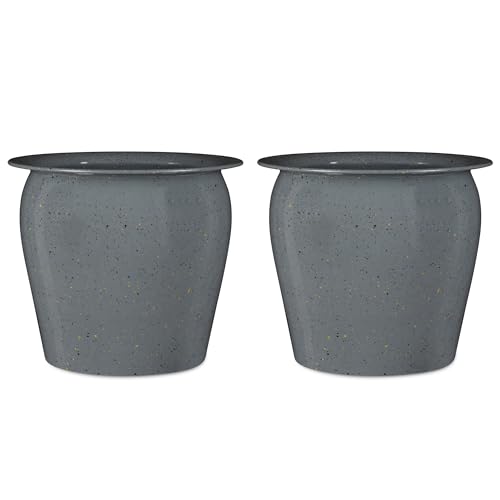 BIRDROCK HOME Urn Planter Review: Stylish Pots After 1 Month