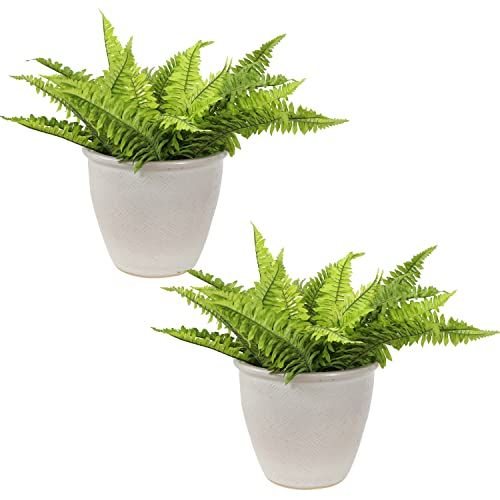 Sunnydaze Ocean Villa Planter Review: Worth It? (After 1 Season)
