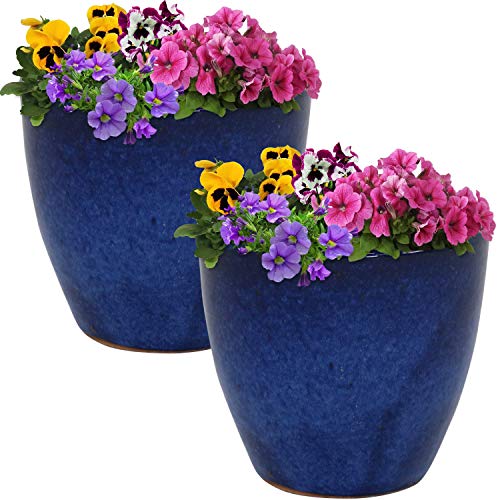 Sunnydaze Planter Review: Blue Glaze Beauty After 1 Season