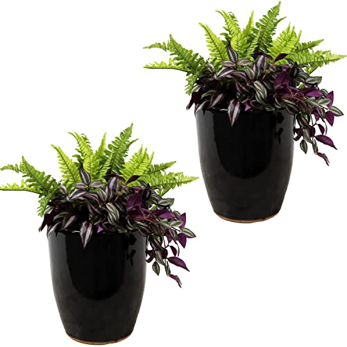Sunnydaze Planters Review: Worth It After 6 Months? Yes!