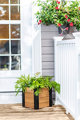 Vita Mezza Cedar Cube Planter Review: Worth the Money? Yes!