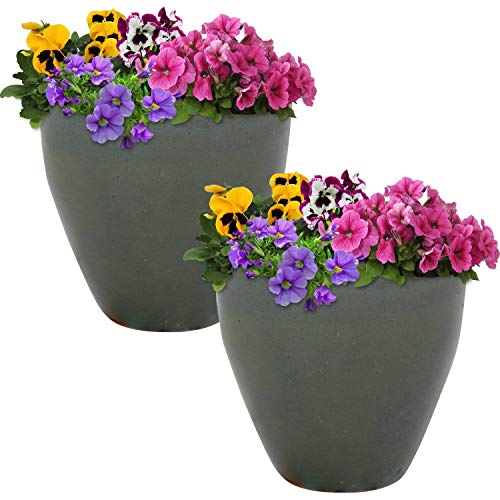 Sunnydaze Planter Review: Style & Function for Your Plants!