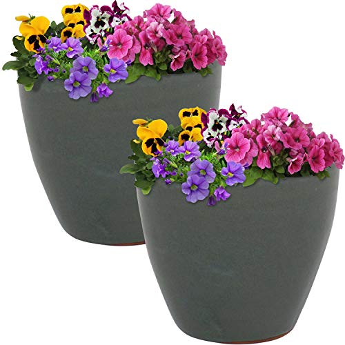 Sunnydaze Planter Review: Stylish Pots for Any Plant Parent