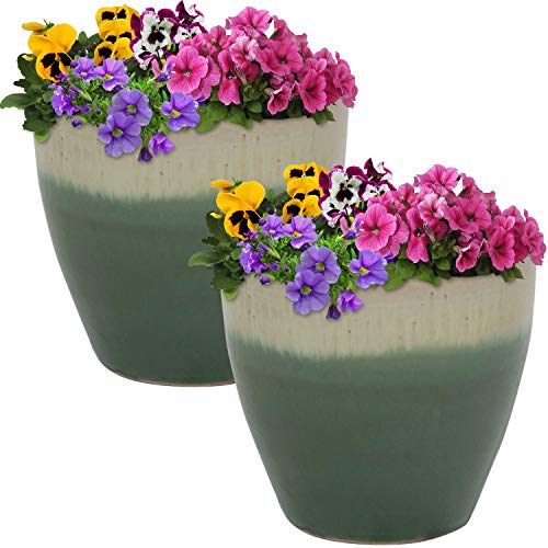 Sunnydaze Planter Review: Game-Changing Pots for Plant Lovers
