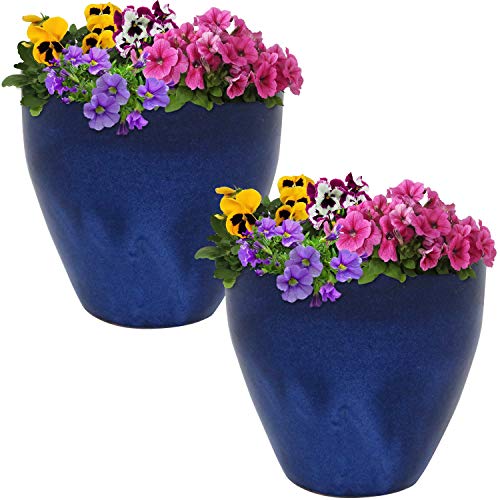 Sunnydaze Planter Review: Blue Glaze Stands Out in 2024