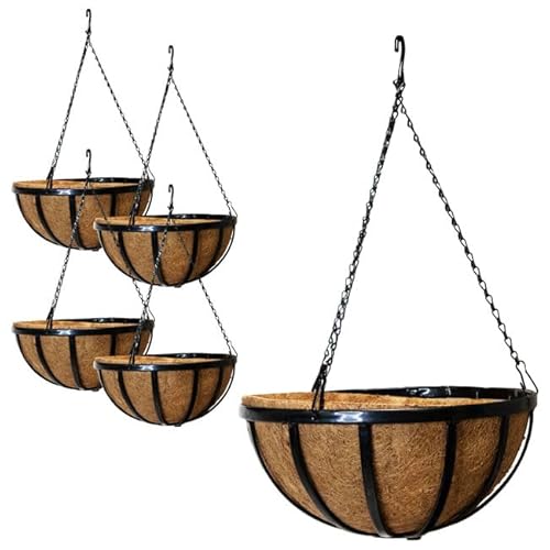 Gardman Baskets Review: A Blooming Bargain After 1 Season