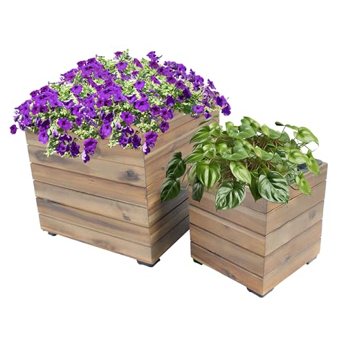Sunnydaze Planter Boxes Review: Worth it After a Season?