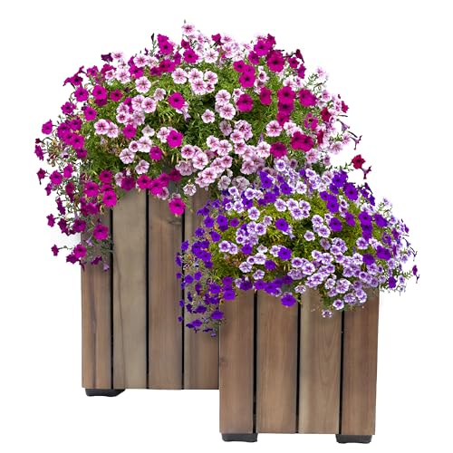 Sunnydaze Planter Boxes: Worth It? Verdict After 1 Season