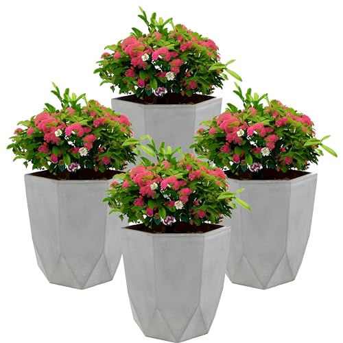 Sunnydaze Planter Review: Game-Changing Pots for Plant Lovers