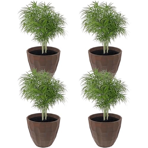 Sunnydaze Planter Review: Game-Changing Pots for Plant Lovers