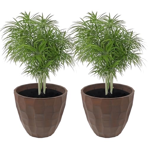 Sunnydaze Planter Review: Worth it After a Season of Use?