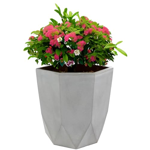 Sunnydaze Planter Review: Stylish, Sturdy, and Worth It!