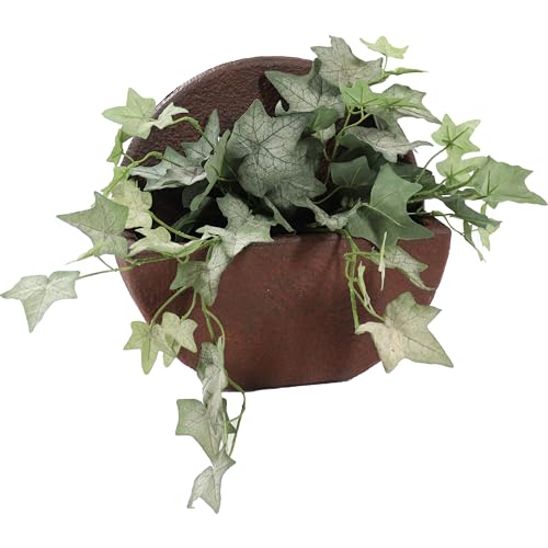 Sunnydaze Planter Review: Worth It After 6 Months Testing?