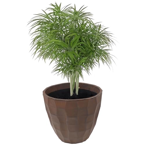 Sunnydaze Planter Review: A Game-Changing Pot for Any Gardener
