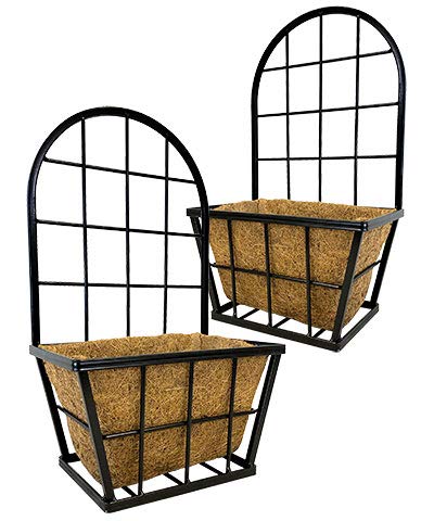 Panacea Planters Review: Worth It After a Season of Growth?