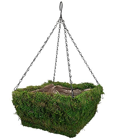 Panacea 83557 Natural Moss Square Hanging Baskets, Green, 14