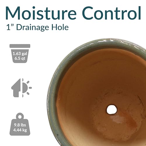 Sunnydaze Round Ceramic Planter - Set of 2 Indoor or Outdoor Plant Pots with Drainage Hole - 10