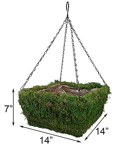Panacea 83557 Natural Moss Square Hanging Baskets, Green, 14