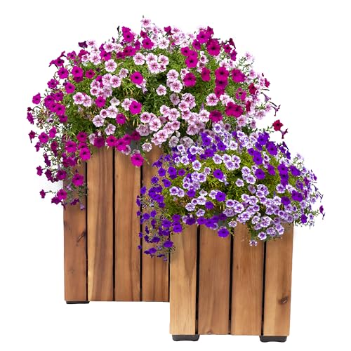 Sunnydaze Indoor/Outdoor Wooden Planter Boxes - 2 Acacia Wood Square Plant Pots with Plastic Liners - Light Brown Stain