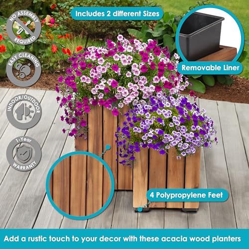 Sunnydaze Indoor/Outdoor Wooden Planter Boxes - 2 Acacia Wood Square Plant Pots with Plastic Liners - Light Brown Stain