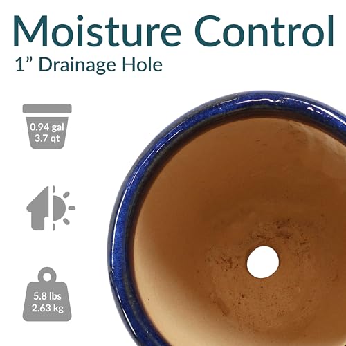 Sunnydaze Round Ceramic Planter - Set of 2 Indoor or Outdoor Plant Pots with Drainage Hole - 8