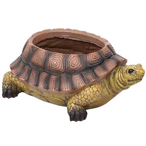 Sunnydaze Teddy The Turtle 11
