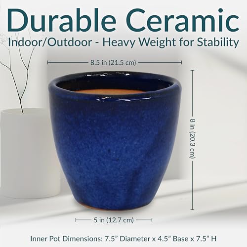 Sunnydaze Round Ceramic Planter - Set of 2 Indoor or Outdoor Plant Pots with Drainage Hole - 8